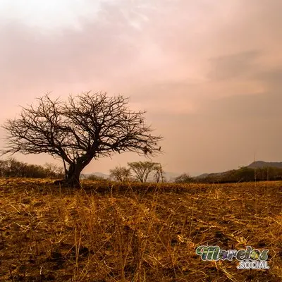 2012 - Zona arqueológica de Chimalacatlán